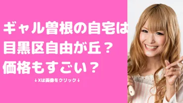 ギャル曽根さんの自宅は一体どこ？目黒区在住説を徹底調査！目黒区在住説とは！？