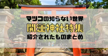 マツコの知らない世界】2023年の運気爆上がりの開運神社特集まとめ！ 