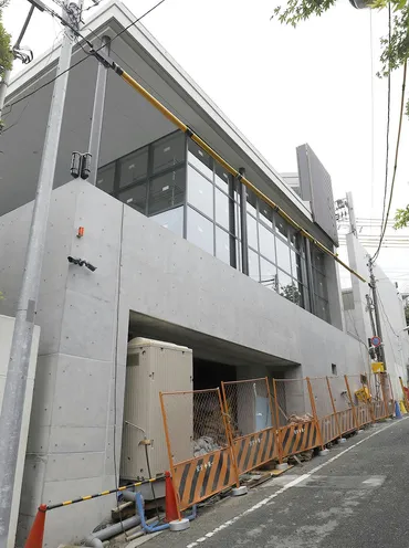 観月ありさ夫妻 東京・目黒の一等地にまるで美術館な大豪邸建設中 