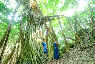 屋久島の土を使って『薬草研究所』と『バイオトイレ』を創りたい！