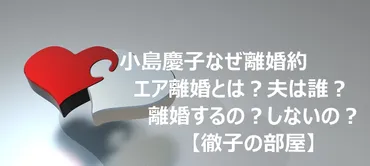 小島慶子なぜ離婚約・エア離婚とは？夫は誰？離婚するの？しないの？【徹子の部屋】 