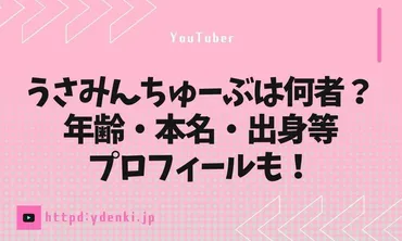 うさみんさんのYouTubeチャンネル『USAMINTUBE大人の為の簡単英会話』って一体…？謎多き人気YouTuberとは！？