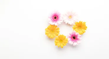 きこちゃんねる】家族構成は？母や父の紹介、再婚なの？