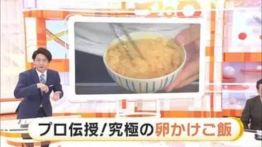 究極の卵かけご飯」最高級の卵やアレンジレシピまで…スーパーの卵でもおいしい種類の食べ方