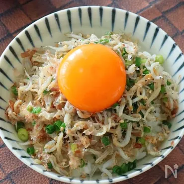 ♩香ばしい香り♡ネギと煎りしらすの卵かけごはん