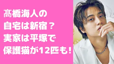 髙橋海人の自宅ヴィンテージマンションはどこ？実家は平塚市で猫が12匹！ 