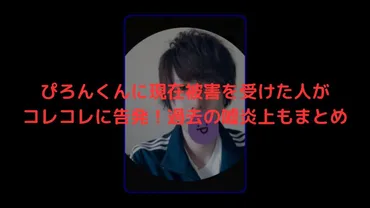 ぴろんくんに現在被害を受けた人がコレコレに告発!過去の嘘炎上