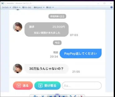 ぴろんくん余命宣告など嘘が全てばれ観念「ごめんなさい返金します」→問い合わせた女性が逆に万請求されてしまう→ぴろんくん「むこうから貢いできたから違うくね」まとめダネ!