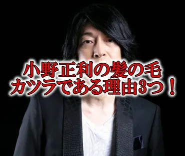 小野正利のカツラ疑惑は本当？年齢不詳の髪型と音楽活動の真相に迫る！小野正利の秘密とは！？