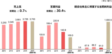 業績と見通し 