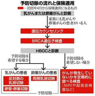 遺伝子検査で乳がんリスクが高かったら？栗原友さんの闘病と予防治療の選択遺伝性乳がんとの向き合い方とは！？