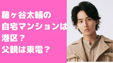 藤ヶ谷太輔の自宅マンションは港区のどこ？実家は大崎で父親は東電？両親の年齢や職業も 