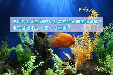 さぼりと姫が別れたと言われる理由を考察!現在は結婚してるって本当?