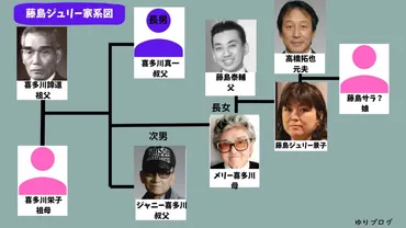 藤島ジュリー景子の家系図と家族構成がやばい！娘や元夫の現在も調査してみた！ 