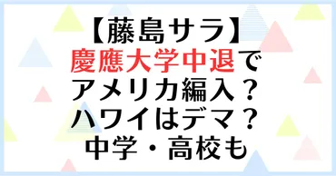 藤島サラ慶應大学中退でアメリカ編入？ハワイはデマ？中学・高校も 