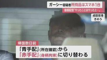 ガーシー容疑者 所持品はスマホ1台だけ…帰国数日前゛赤手配゛に 動画配信「やったことはやったと協力姿勢で」本格取り調べへ