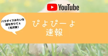クソボイスがクセ】ぴよぴーよ速報なら小学生でも分かる哲学・歴史【勝手にオススメ紹介④】