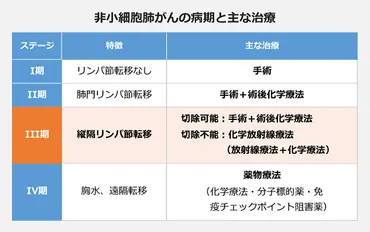 肺がん ステージIIIの治療「20年ぶりに進展」へ―免疫薬「イミフィンジ」承認間近 