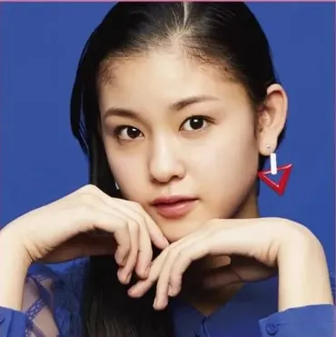 石井蘭()の学歴と経歴