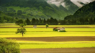 松山ケンイチの田舎暮らしは北海道のどこ?生活やいつから住んでいるのかも紹介