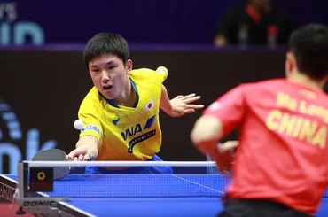 男子ワールドカップ2019 樊振東が連覇。張本が準優勝