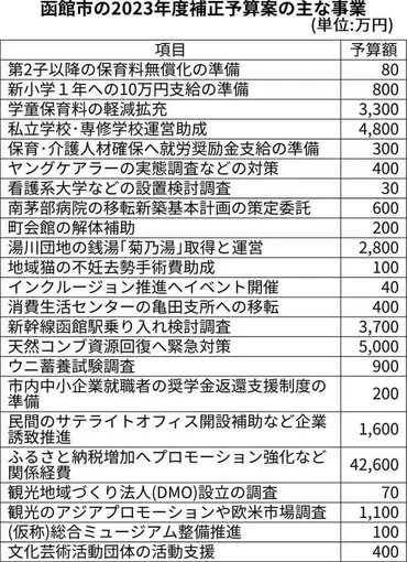 大泉函館市長初の政策予算 新小１に祝い金支給へ 市民生活の支援強調 一般会計補正案４２億円追加１４８８億円：北海道新聞デジタル