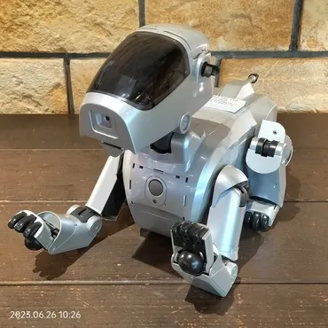 1999/平成11/SONY/AIBO/ERS