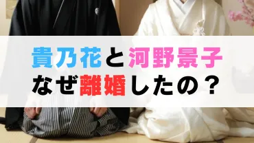 貴乃花と河野景子の離婚理由は？決め手は緊急搬送と貴乃花部屋の