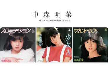 中森明菜さんの家族との関係は一体どうなっているの？家族との確執の真相とは！？