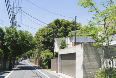 芸能人や政治家も住む、東京の゛真の゛高級住宅街はどこ？ 