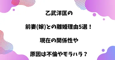 乙武洋匡の前妻(嫁)との離婚理由5選！現在の関係性や不倫モラハラが原因？ 