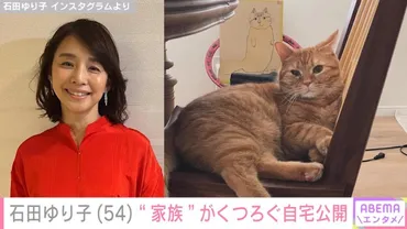 石田ゆり子、愛猫がくつろぐ自宅を公開 「ステキな椅子」「後ろのイラストも気になります」反響続々(ABEMA TIMES)