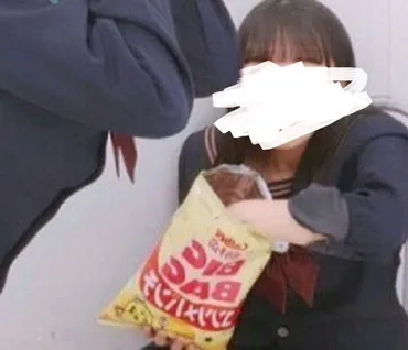 ポテチ姉貴事件：女子高生がプリクラで炎上！？真相とは！？