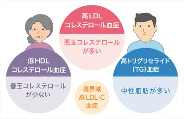 動脈硬化の元凶！脂質異常症(高脂血症)の原因・診断基準・治療法 