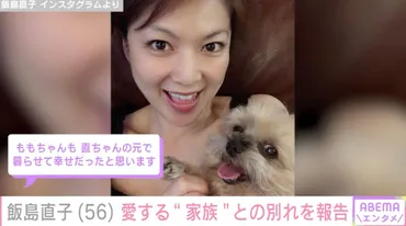 飯島直子、愛犬が天国へ「たくさんの人たちが命をつないでくれ」と感謝 