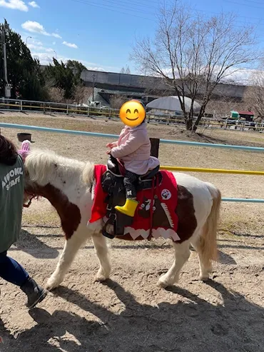 愛知牧場】歳児、ドキドキ乗馬体験!日中遊ぶための徹底ガイド