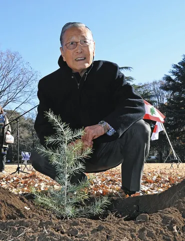 あれ?この木は…勘違いから始まった日本とレバノン交流の物語本物が超え世田谷へ:東京新聞デジタル