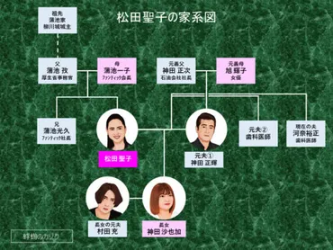 松田聖子の『家族』~最初の夫・神田正輝との間に生まれた娘「神田沙也加」