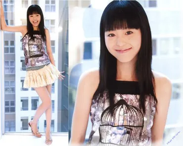 平野綾、波乱万丈の声優人生とは？スキャンダル、結婚、そしてディズニー？平野綾、激動の声優人生を振り返る