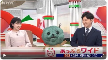 佐々木陶子アナ青森放送局契約キャスター