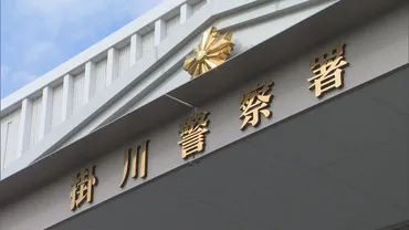 自称・ 広末涼子 容疑者()を逮捕看護師にけがをさせた疑い高速道路の事故で運ばれた病院で暴行か