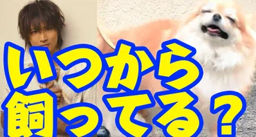 堂本光一が愛犬パンちゃんを飼い始めたのはいつ?チワワ共演まとめ