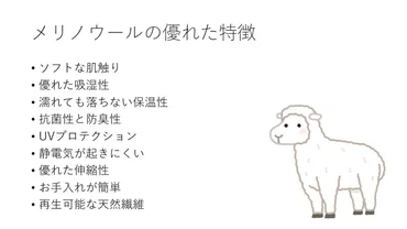 メリノウールとは