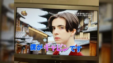 イッテ新企画の有名ブランドモデル経験もあるイケメン博識アメリカ人若手芸人ギャビンさん、スペックの高低差がありすぎるページ目