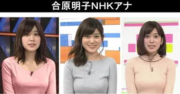 合原明子アナの旦那はどんな人?高いアナウンス技術と共に、結婚、出産、産休、生年月日、身長、年齢、職歴(異動)も紹介