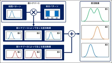 │筋骨格モデリングシミュレーション