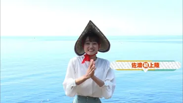新潟テレビ