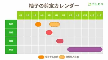 柚子の剪定時期は?剪定方法や樹齢ごとの育て方のコツ