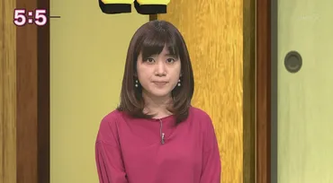 合原明子アナがかわいい夫旦那や子供や身長年齢は産休から復帰
