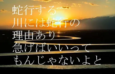 蛇行する川には蛇行の理由あり急げばいいってもんじゃないよと俵万智意味と解説